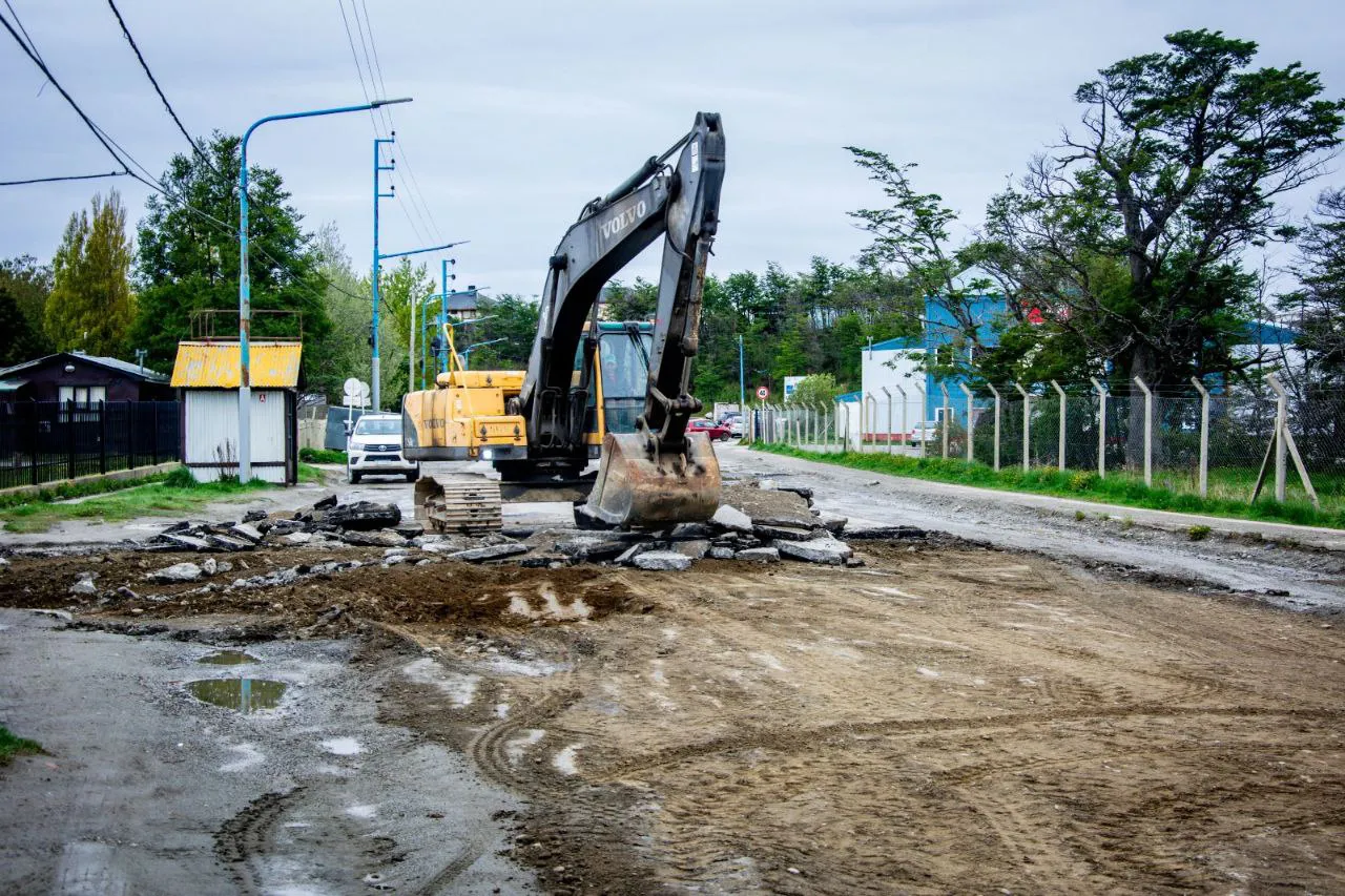 IMG_20241113_092958_008