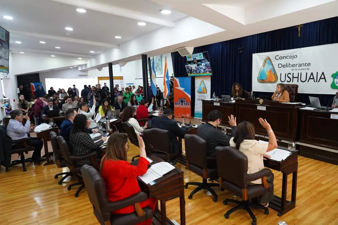 FB_IMG_1730128494366