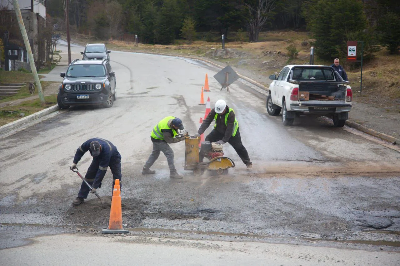 IMG_20241015_105138_266