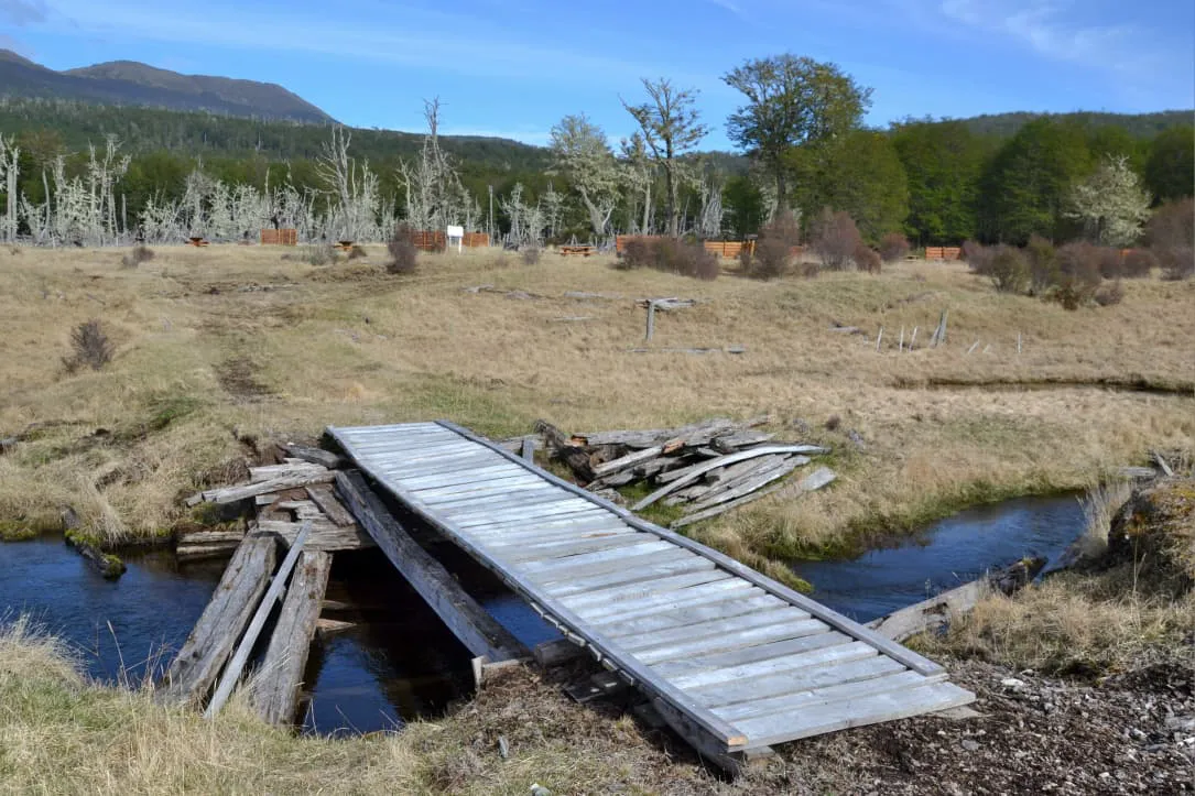 IMG_20251103_214228_563