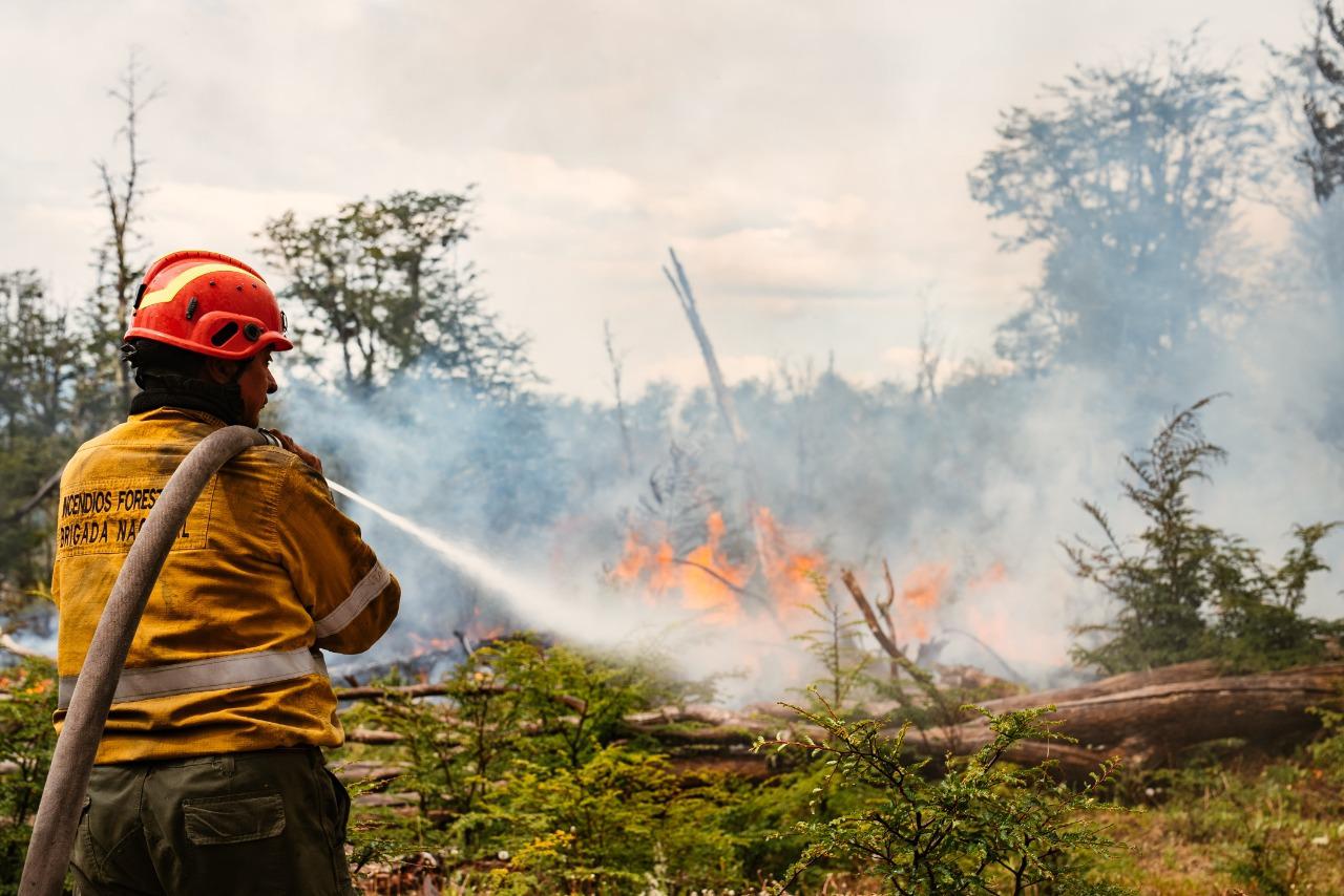Brigada incendio forestal bosques