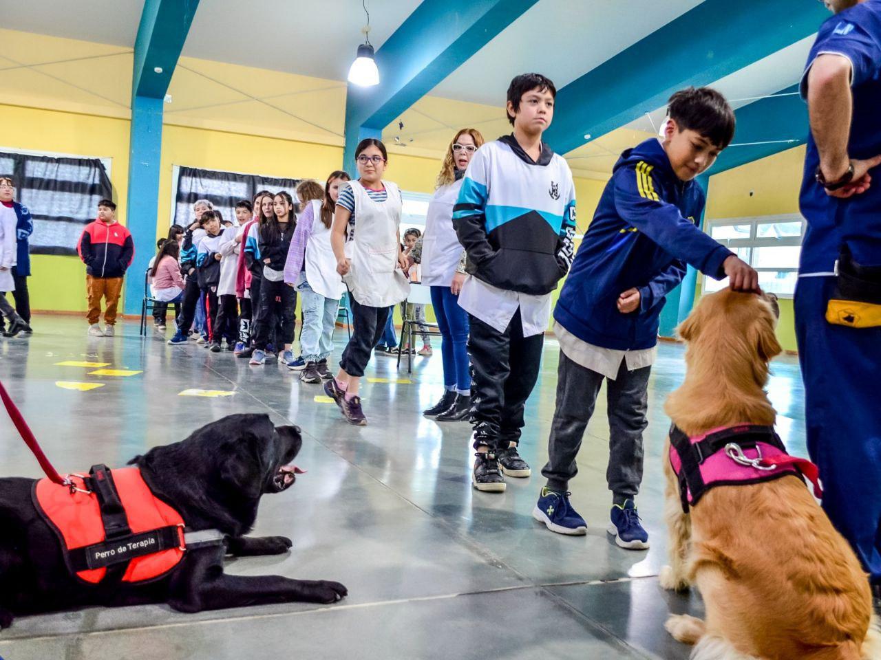 IMG_20240611_084932_239