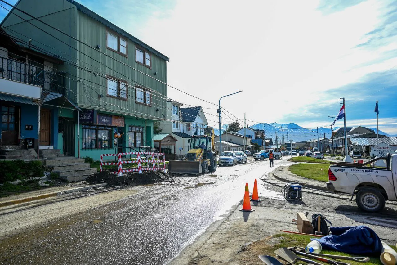 IMG_20241103_203307_445