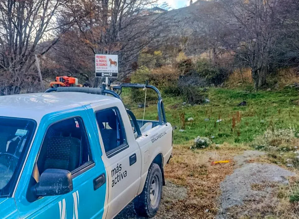 IMG_20250429_074443_834