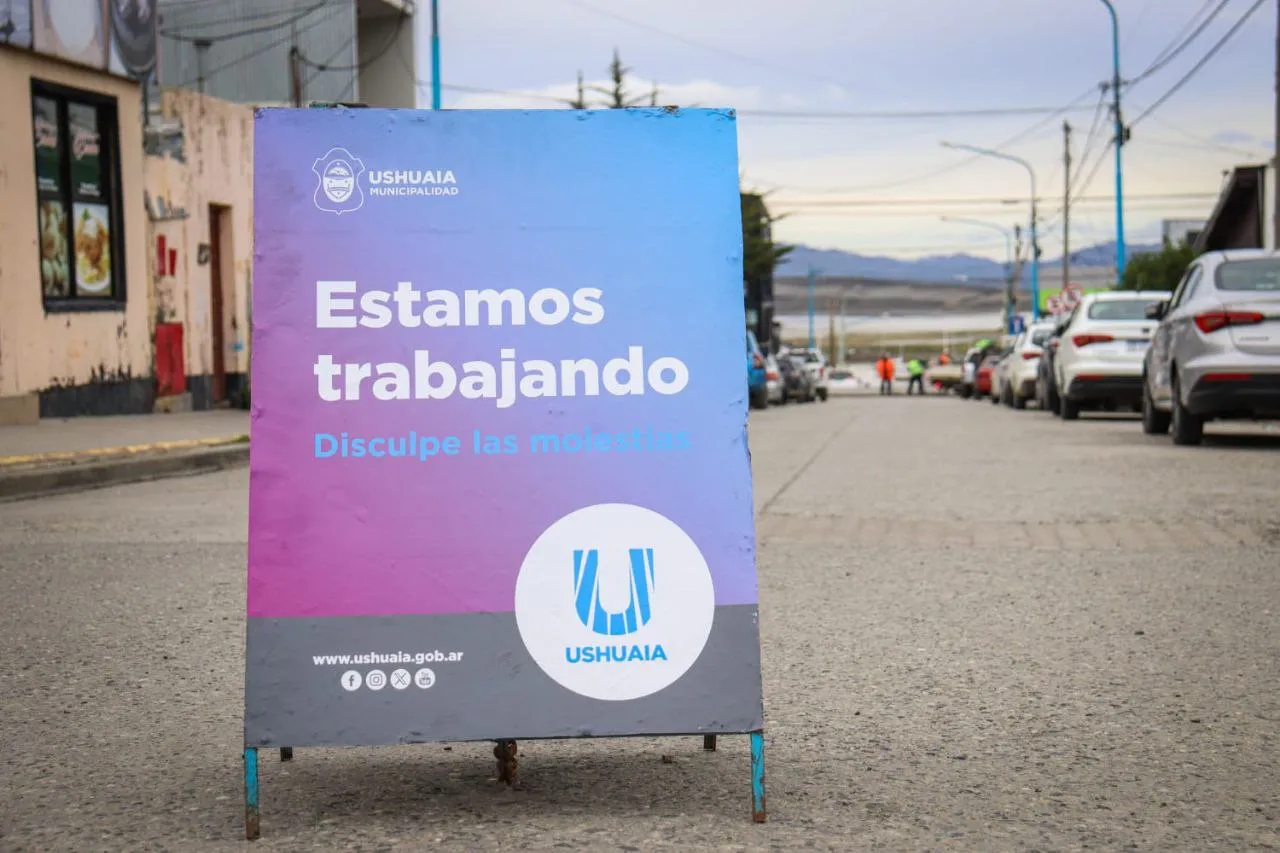 IMG_20241110_135659_605