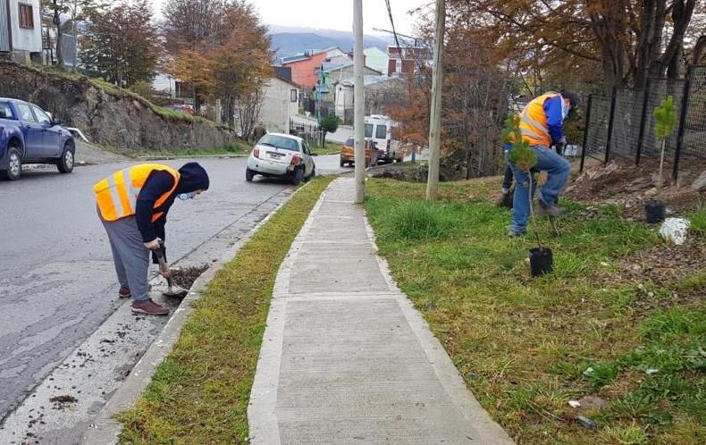 Limpieza barrio Felipe Varela Ushuaia