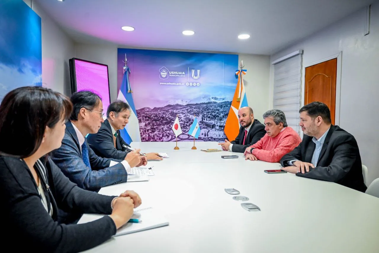 IMG_20241021_225656_699