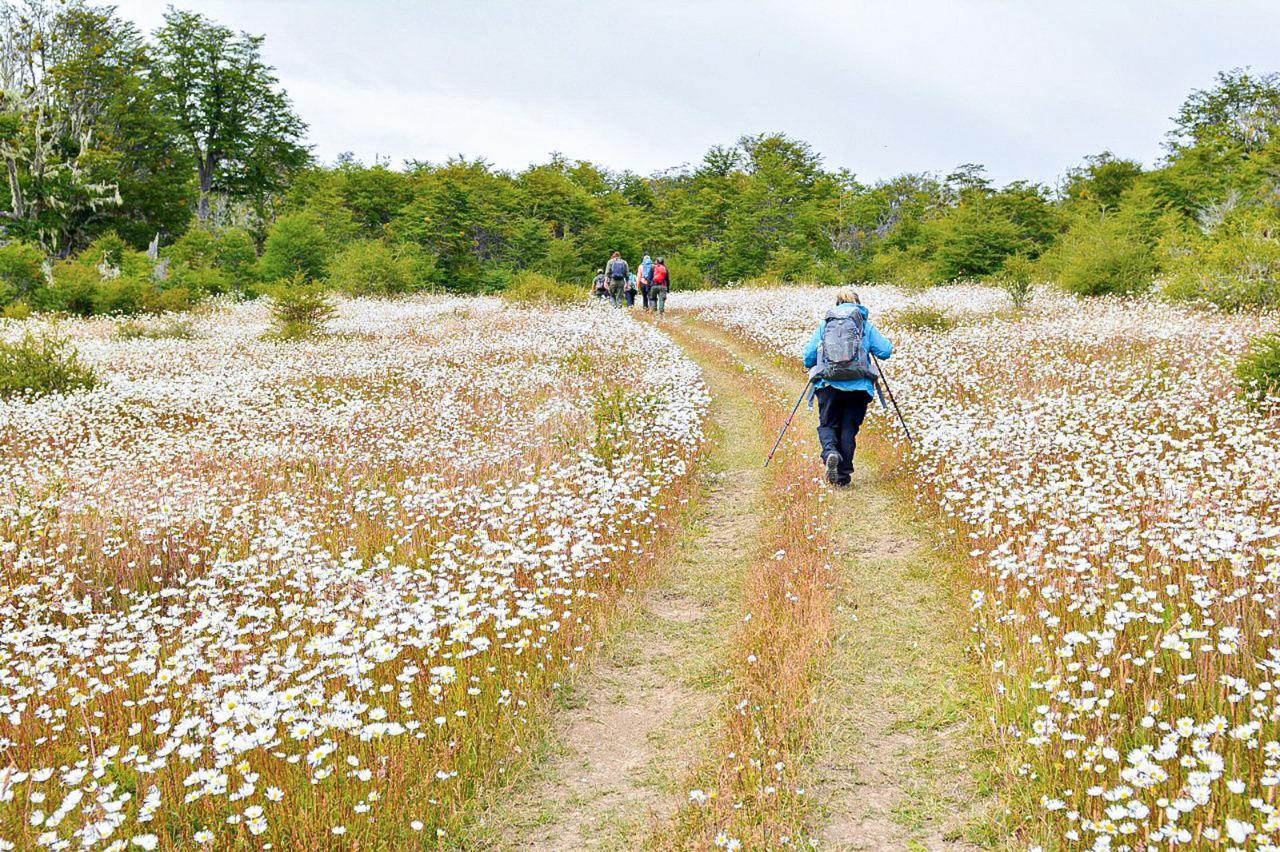 Primavera sendero