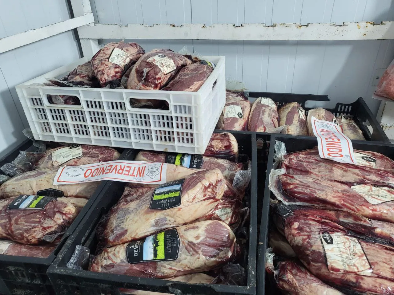 IMG_20250812_225806_980