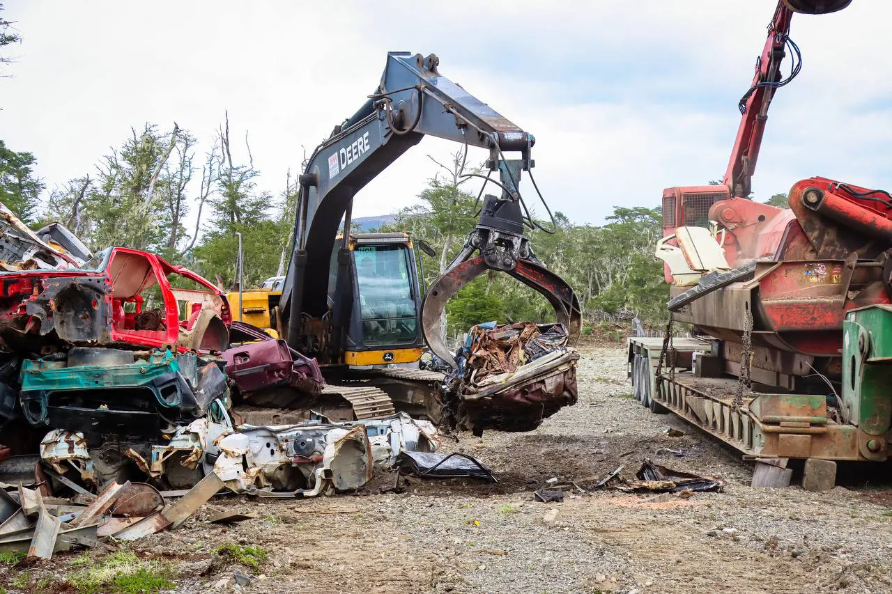 IMG_20241118_221919_784