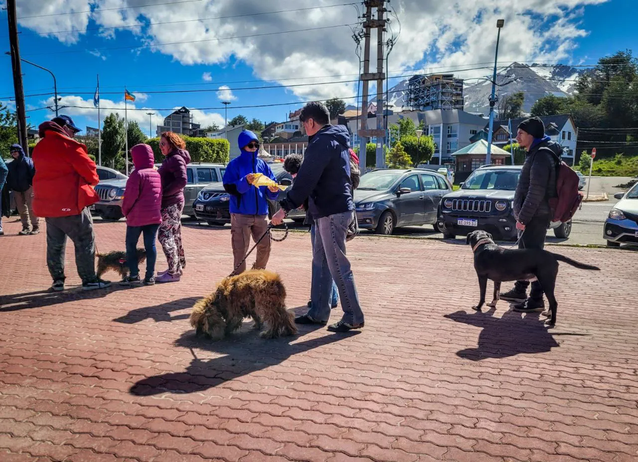 IMG_20241217_115712_140