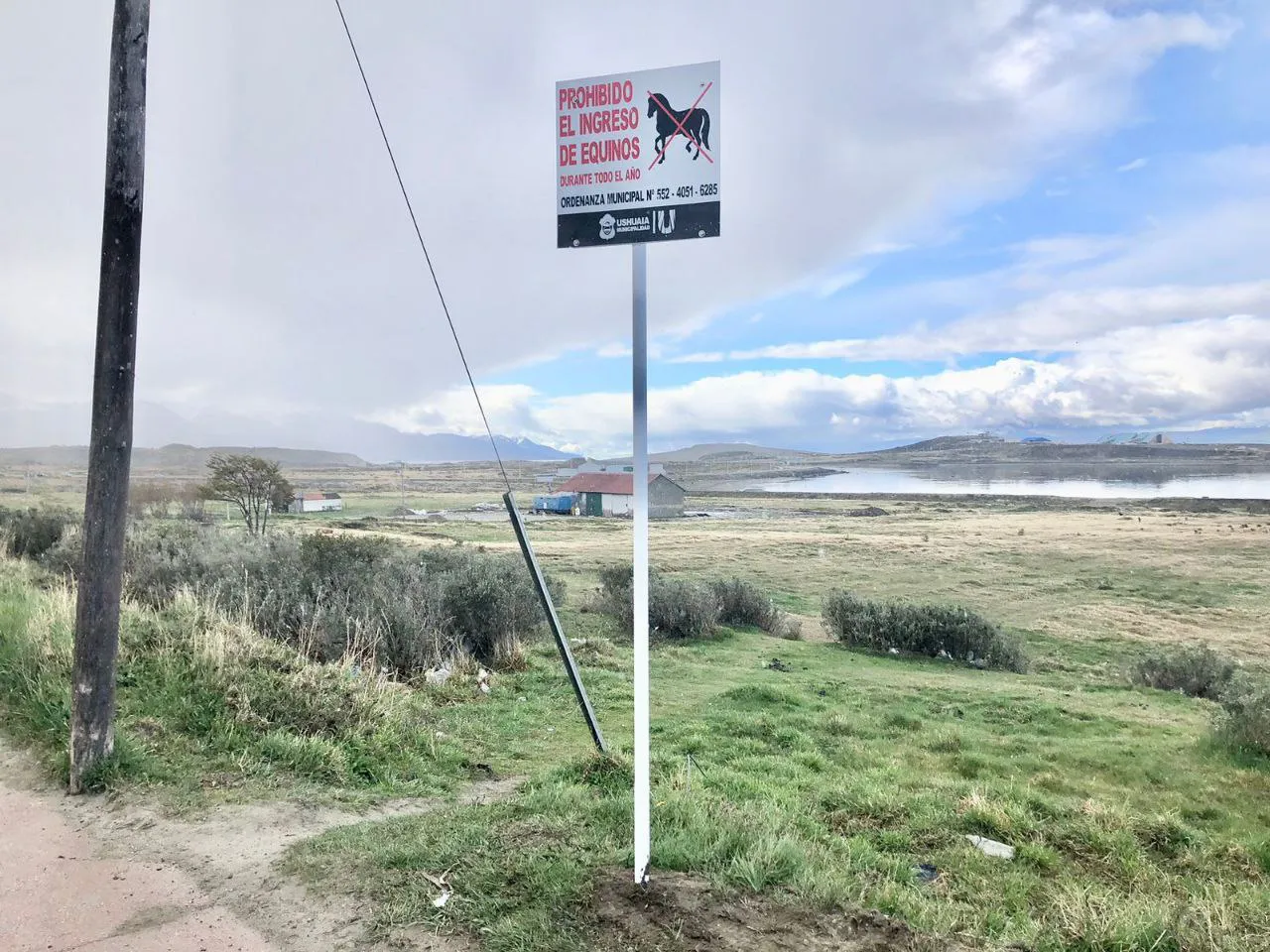 IMG_20241021_225911_144