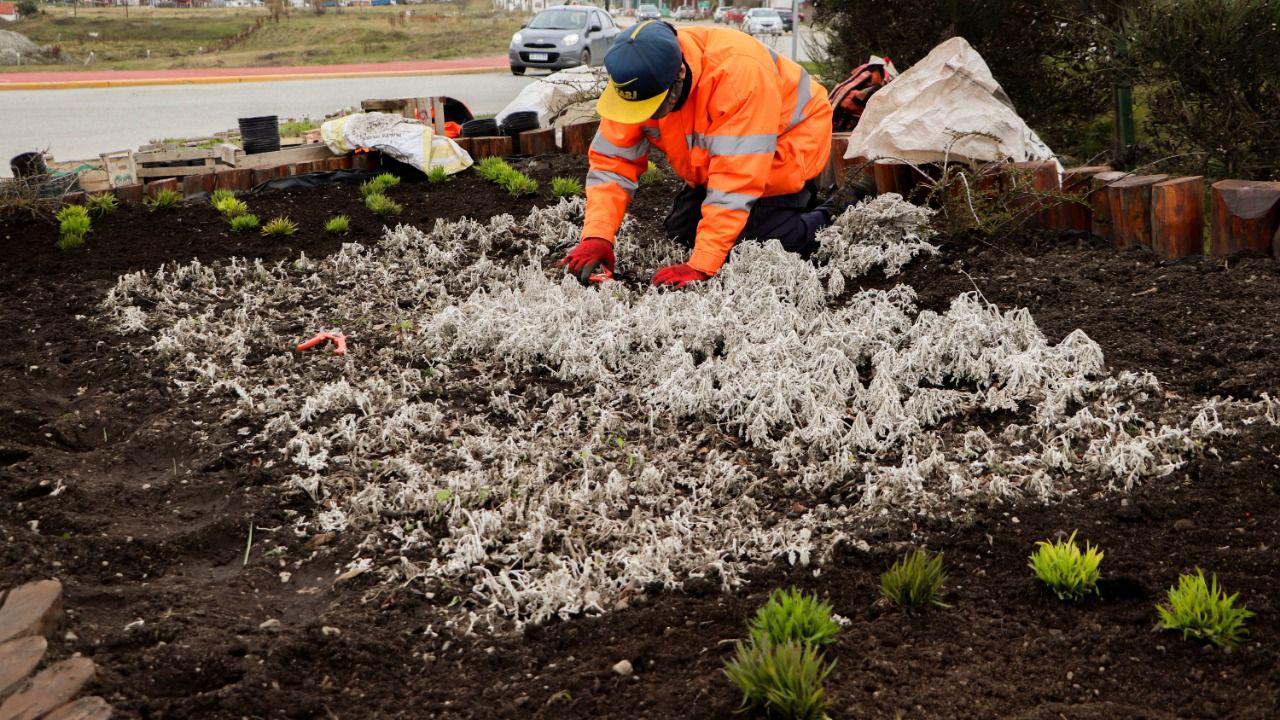 Jardín Ushuaia embellecimiento