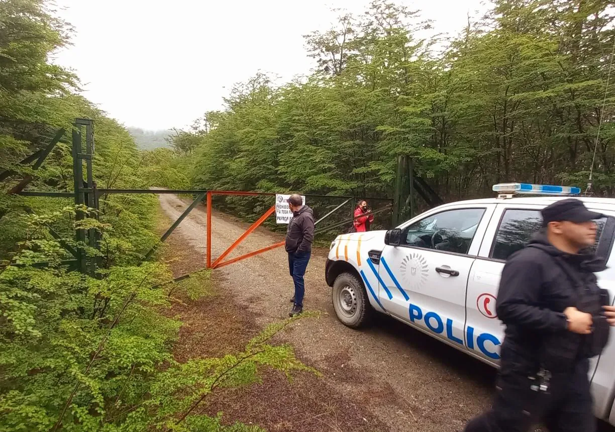 IMG_20241211_191714_591