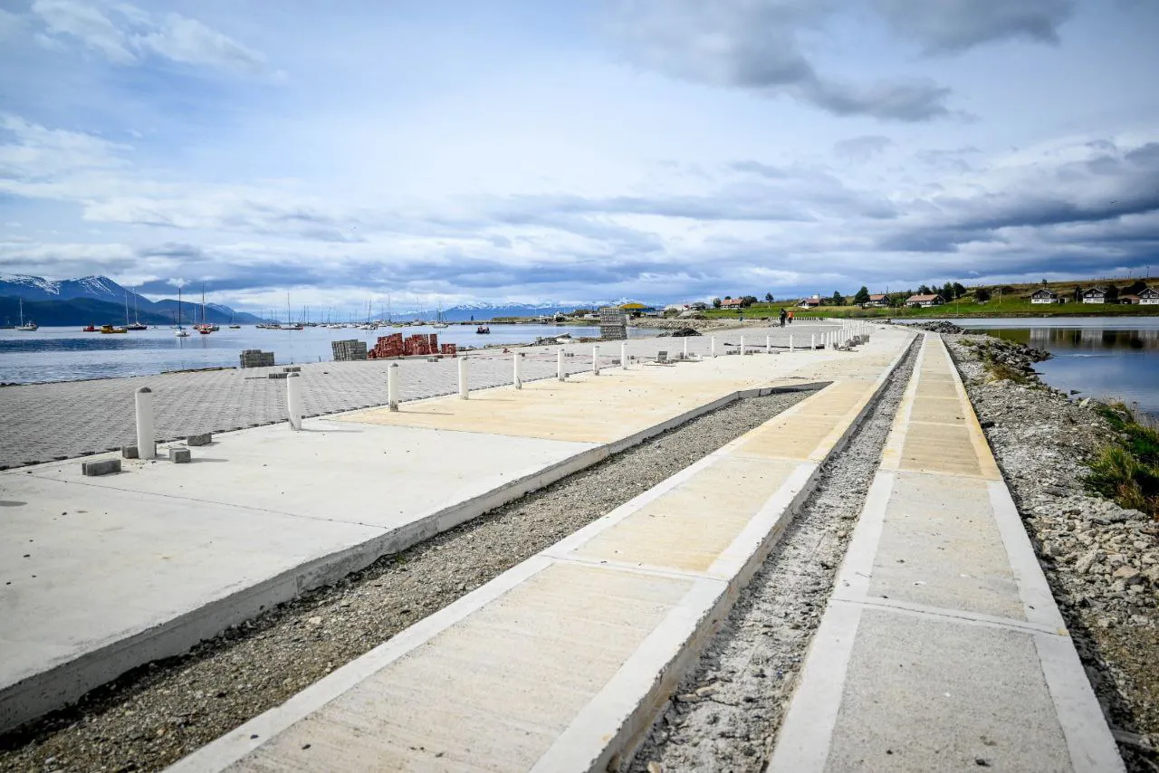 IMG_20241024_081733_384