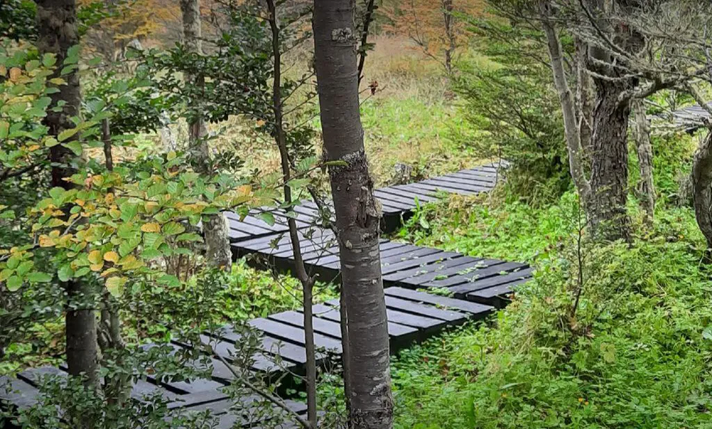 Jardín Botánico Ushuaia