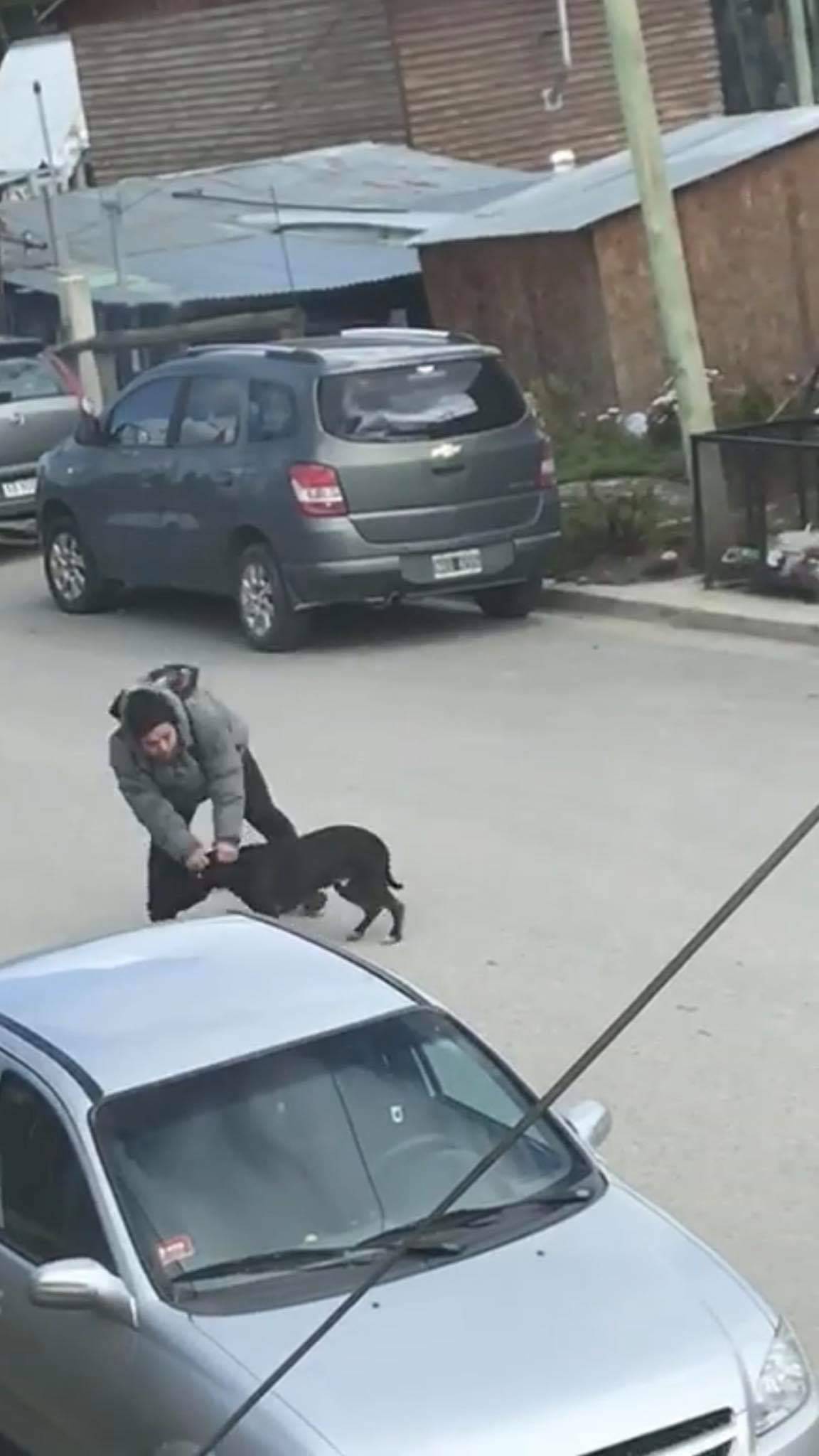 FB_IMG_1550968049059