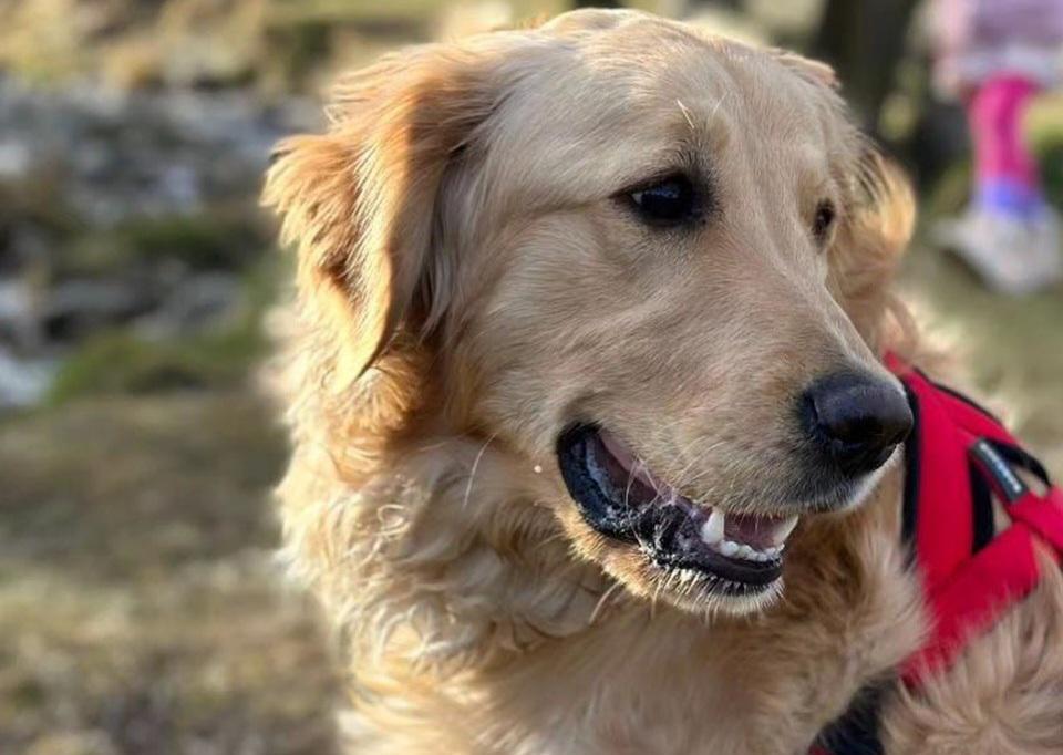 IMG-20240519-WA0061(1)