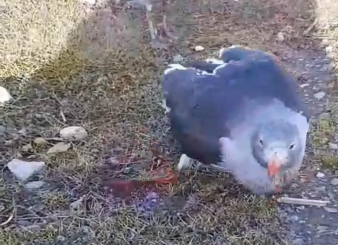 Screenshot_20240518_165816_Gallery