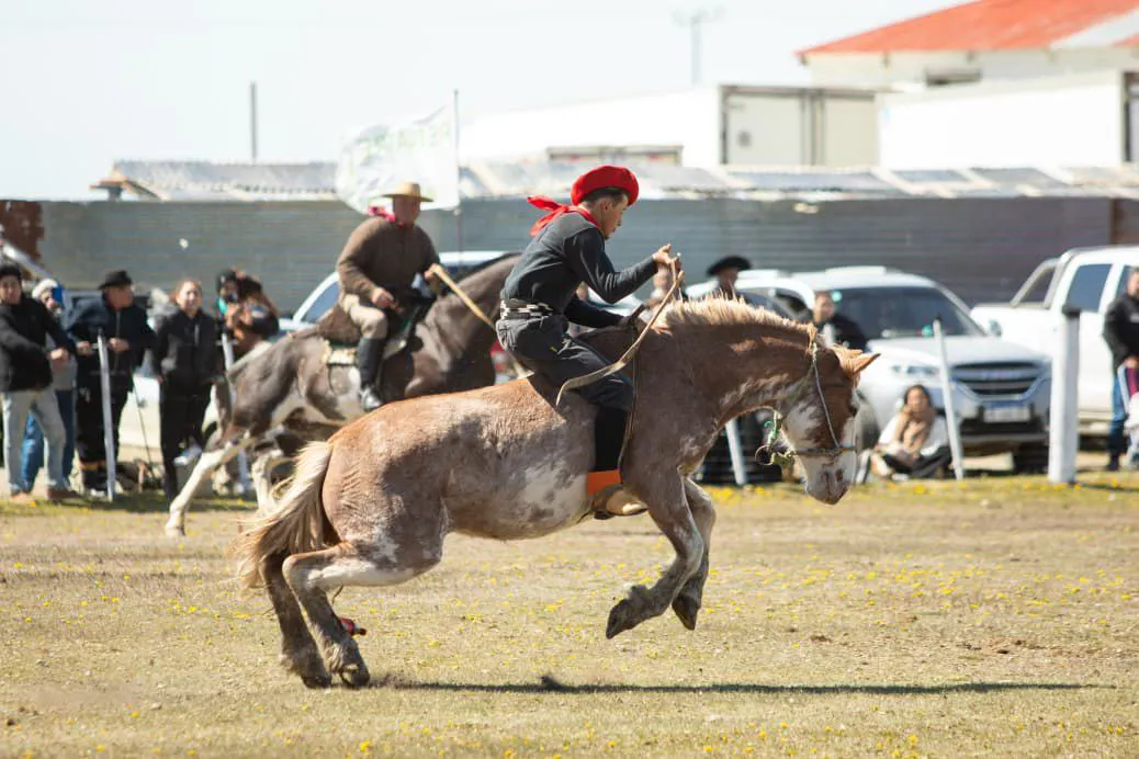 IMG_20251110_193351_890