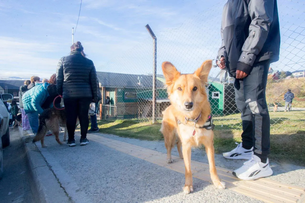 IMG_20250523_202901_608