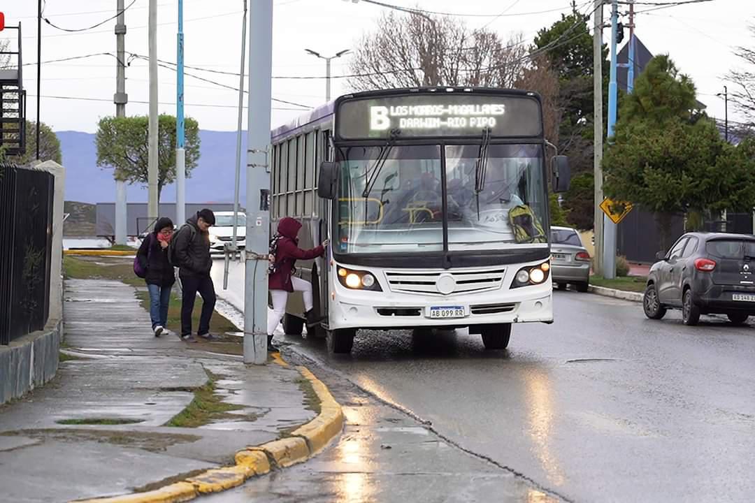 Colectivos ush