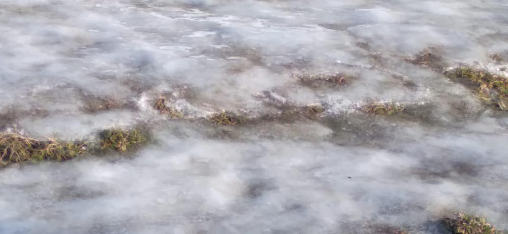 Vereda hielo
