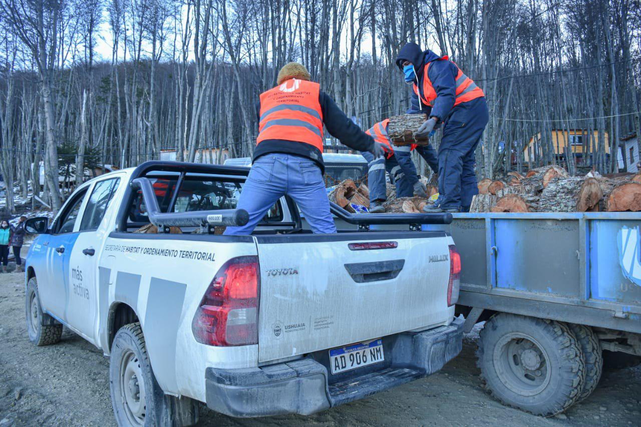 Leñas entrega