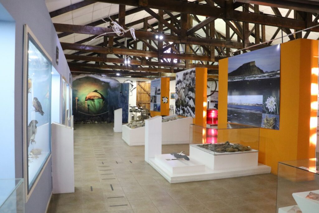 Museo-1024x683