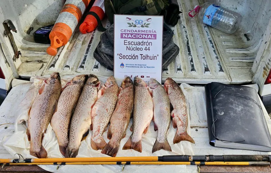 IMG_20241128_082203_671