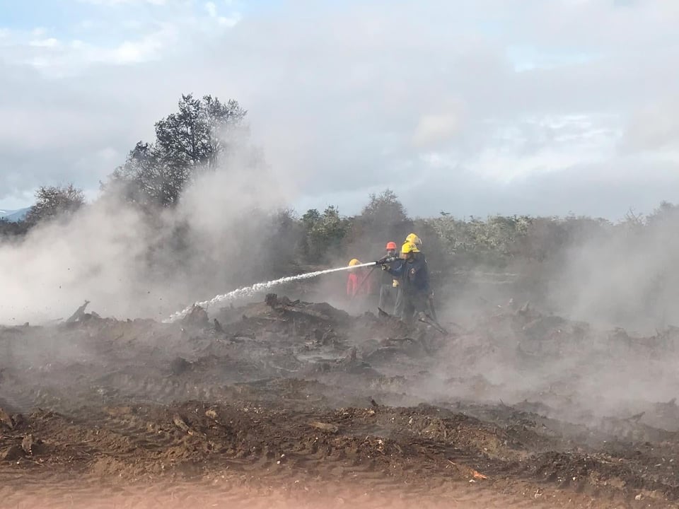 incendio-tolhuin-bosque