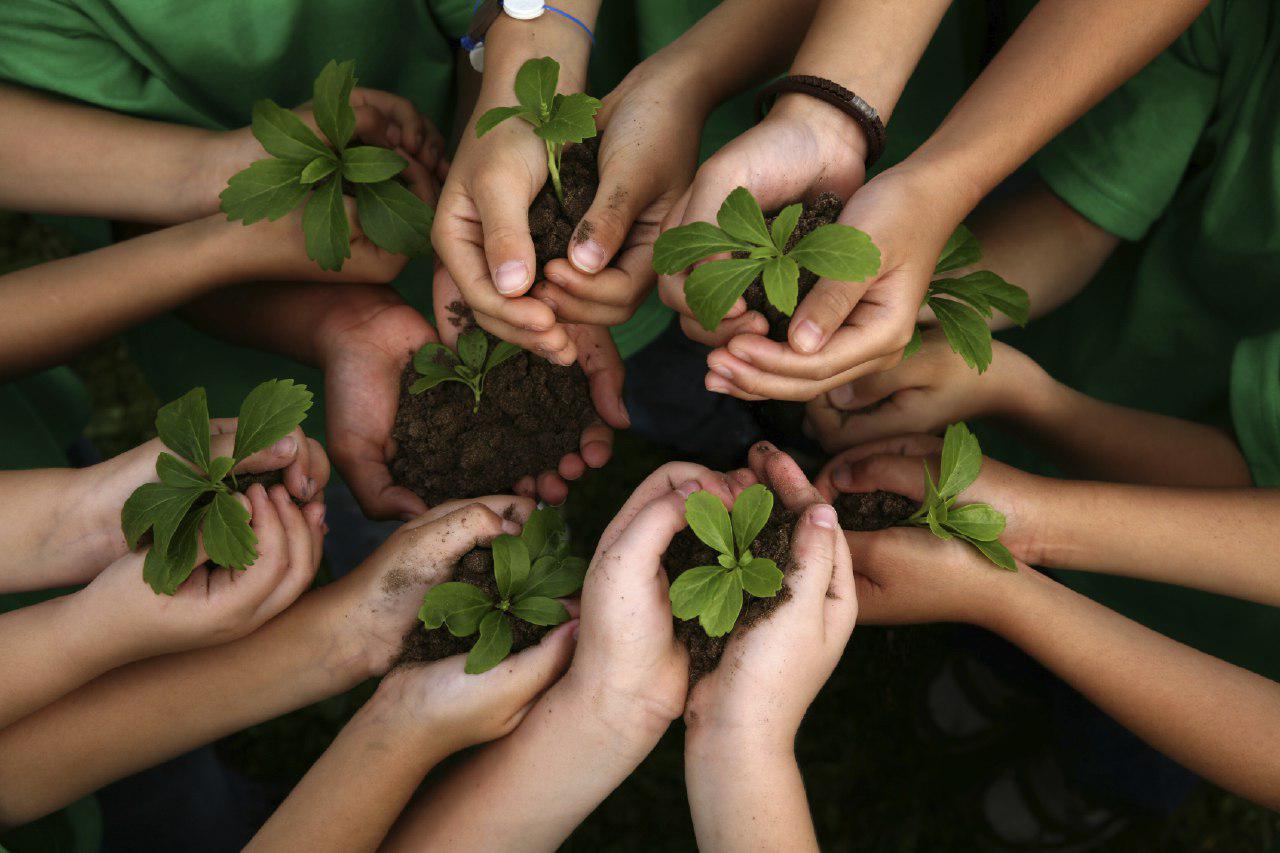 Educación medio ambiente