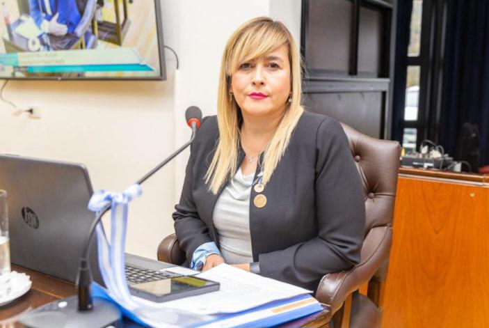 Legisladora Natalia Gracianía sesión
