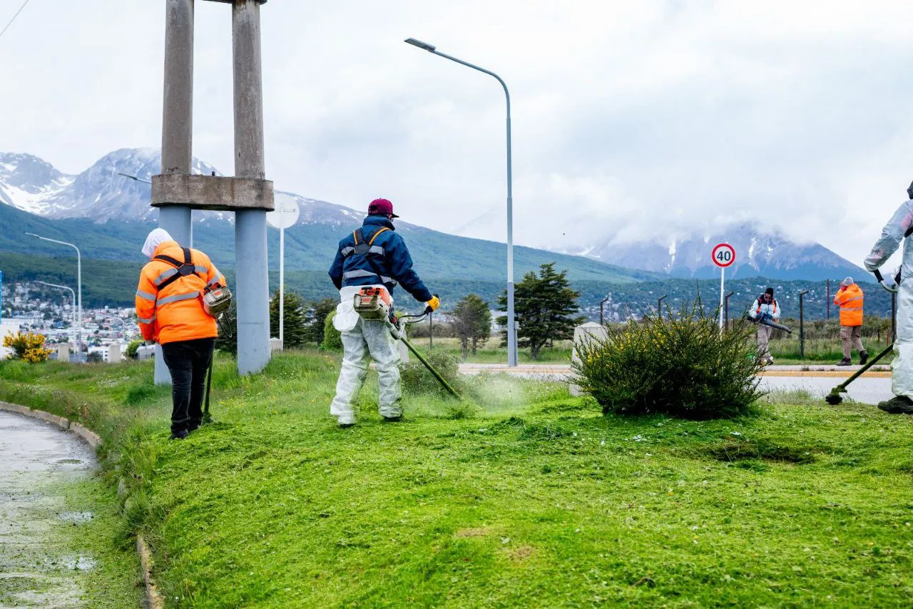 IMG_20251209_205436_555