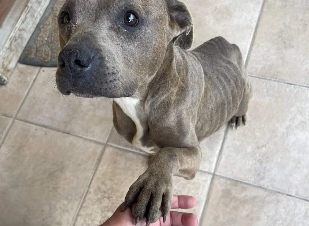 FB_IMG_1730753680102