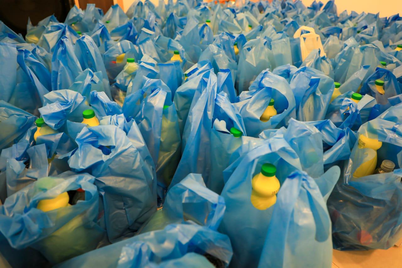 Kits sanitizantes bolsas