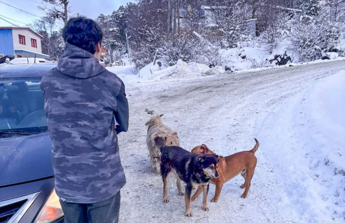 IMG_20250802_095130_971