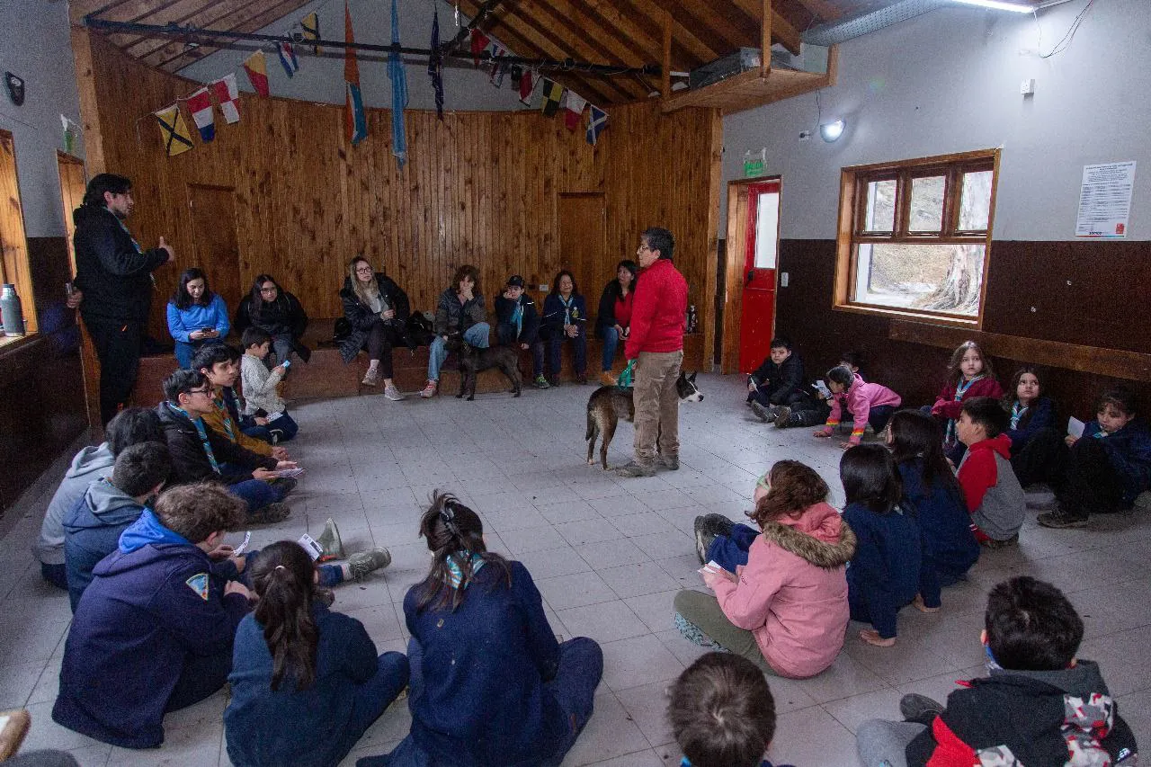 IMG_20250827_191723_626