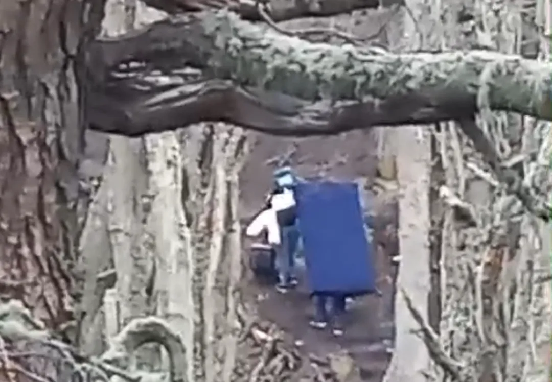 Screenshot_20240910_092313_WhatsApp