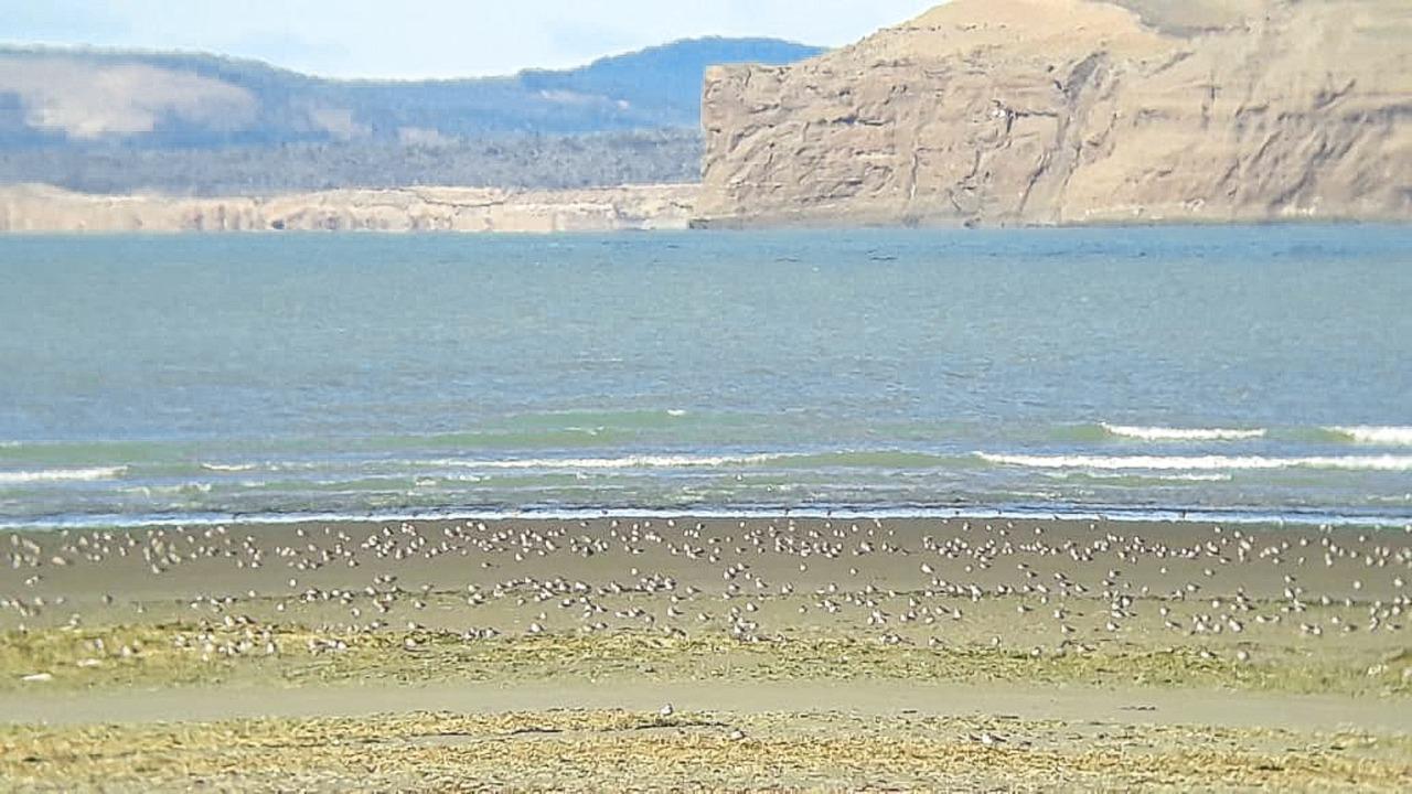 IMG-20210711-WA0026