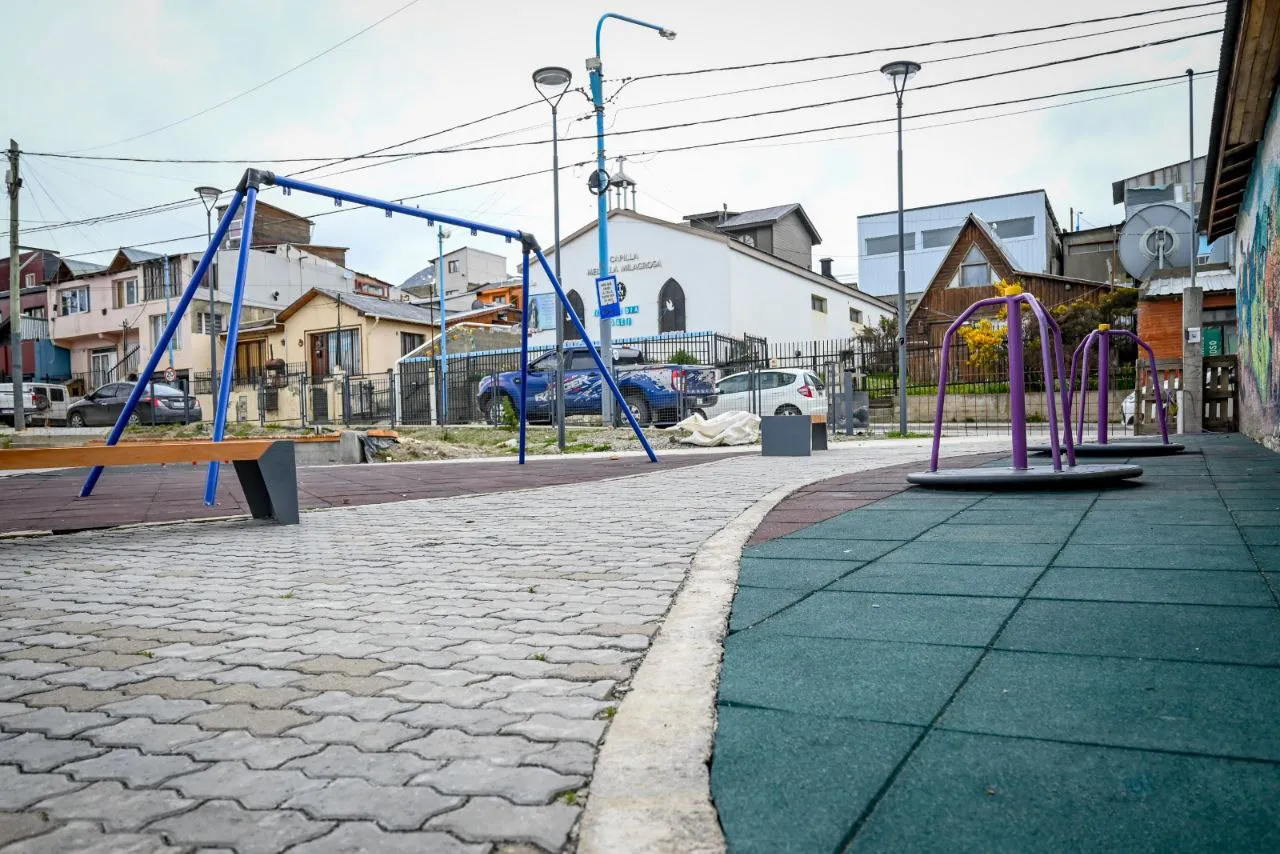 IMG_20241217_084835_133