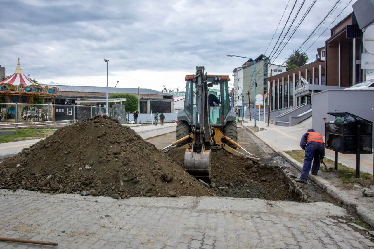 IMG_20241219_083122_429