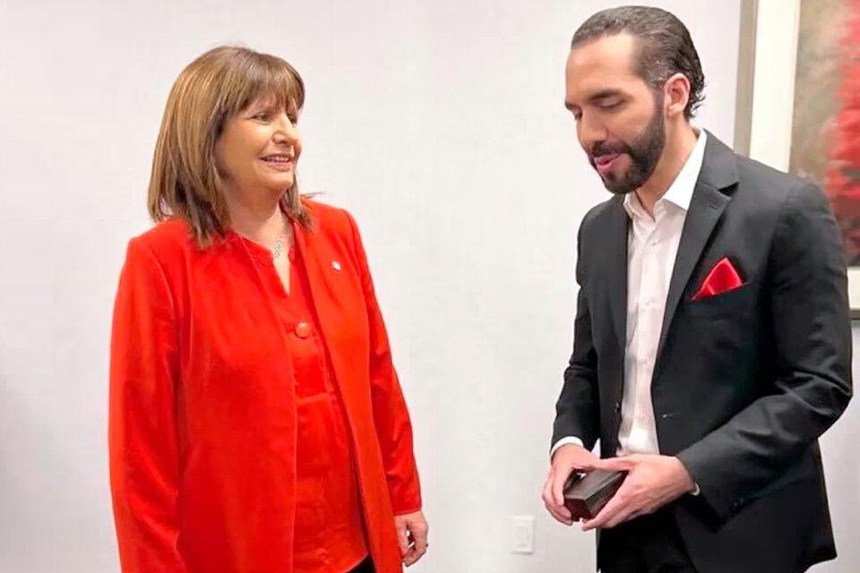 818045-bukele-20bullrich