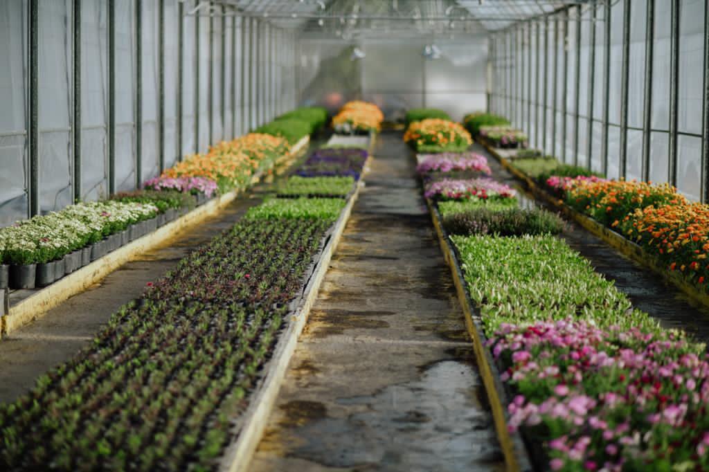 Vivero municipal Ushuaia
