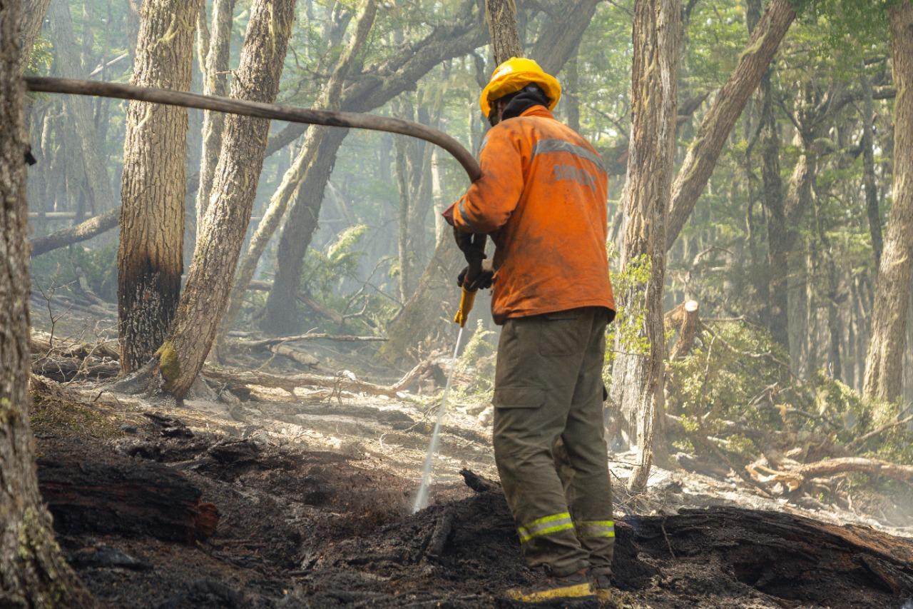 Brigadista incendio forestal