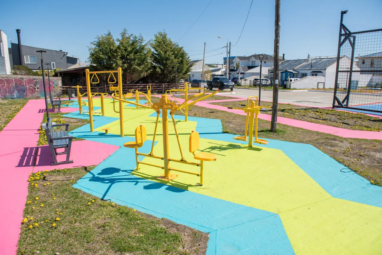 IMG_20241106_215220_338